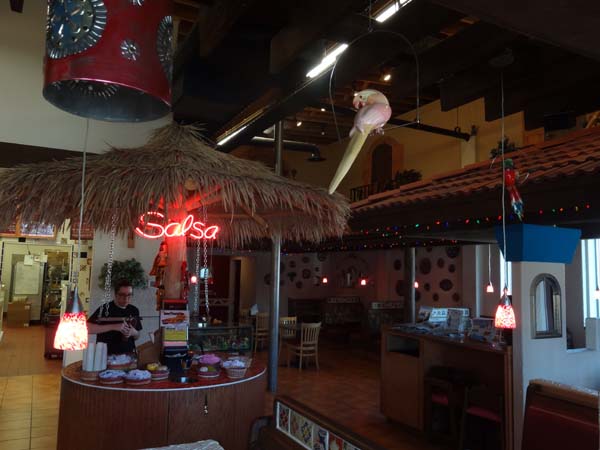 Salsa Bar Wide